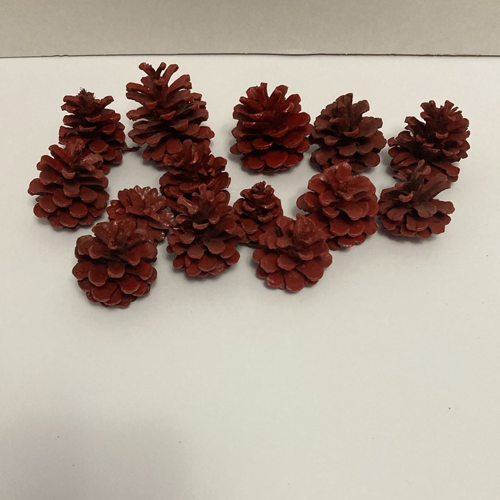 Vickerman holiday craft wreath bundle with red pine cones winter holidays - Picture 6 of 6